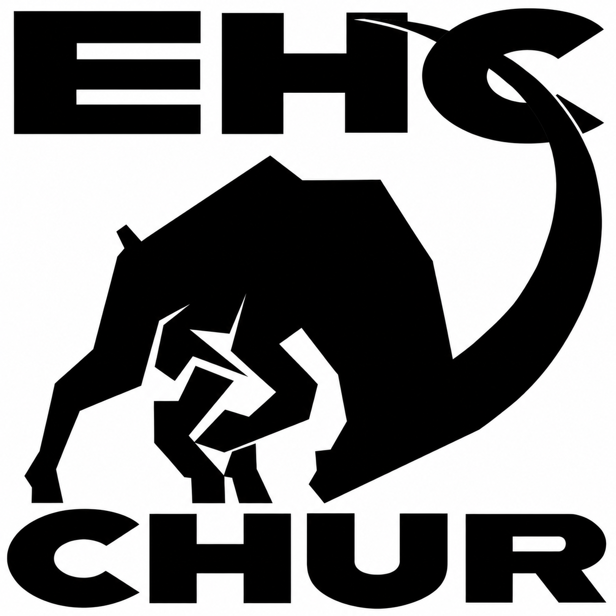 https://medfit.ch/wp-content/uploads/2026/10/EHR-Chur_Logo_sw.png